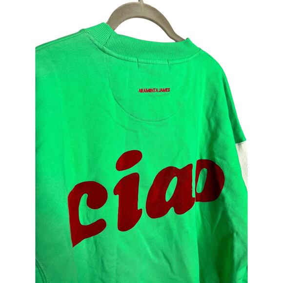 Anthropologie Teal and White Ciao Sweatshirt - Picture 6 of 7